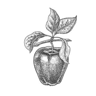 Manzanos